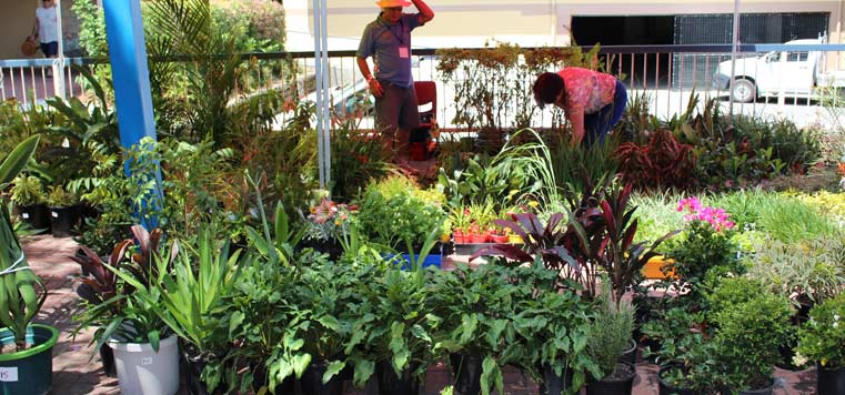 marymount spring fete plant stall